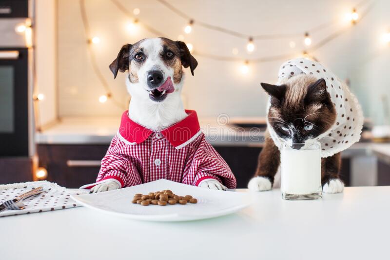 Needed Dog and Cat food!